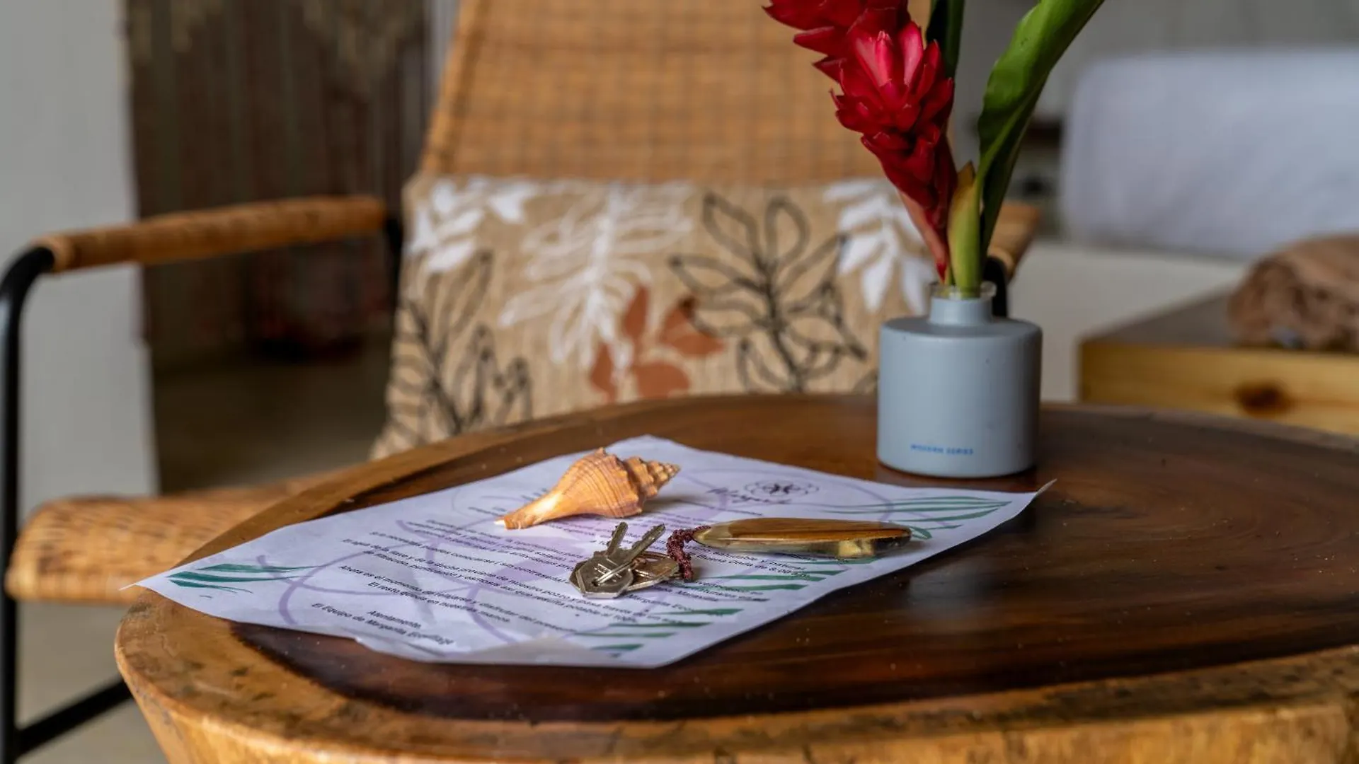 Margarita Ecovillage Miches 多米尼加共和国
