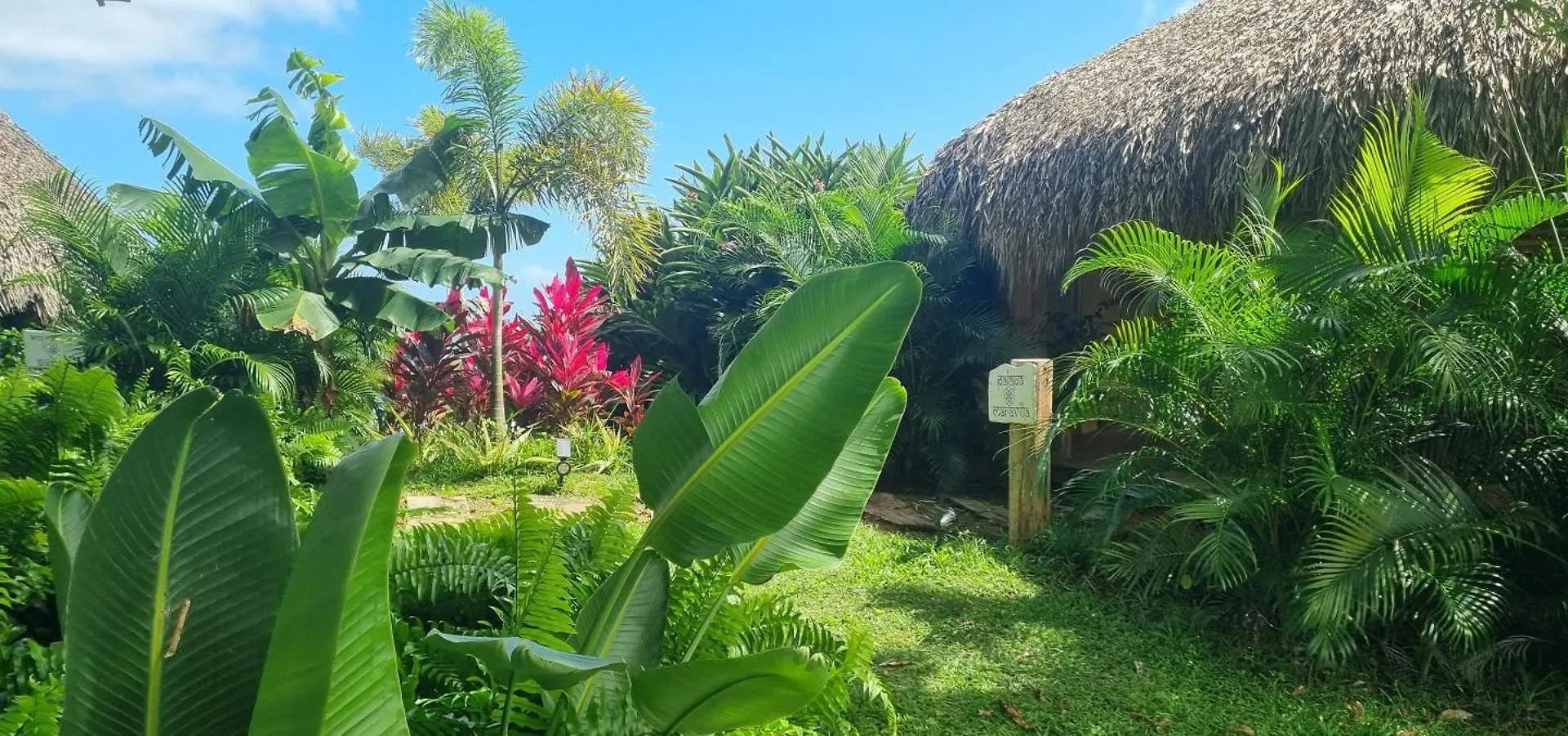 Bed & Breakfast Margarita Ecovillage Miches