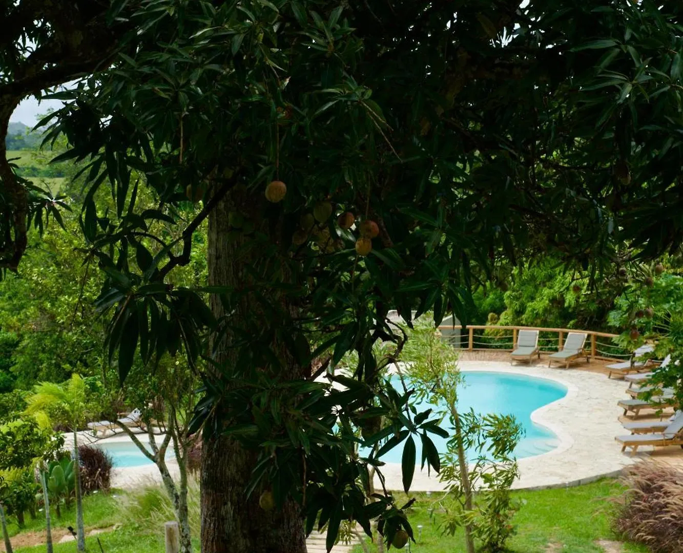 Margarita Ecovillage Miches Dominican Republic